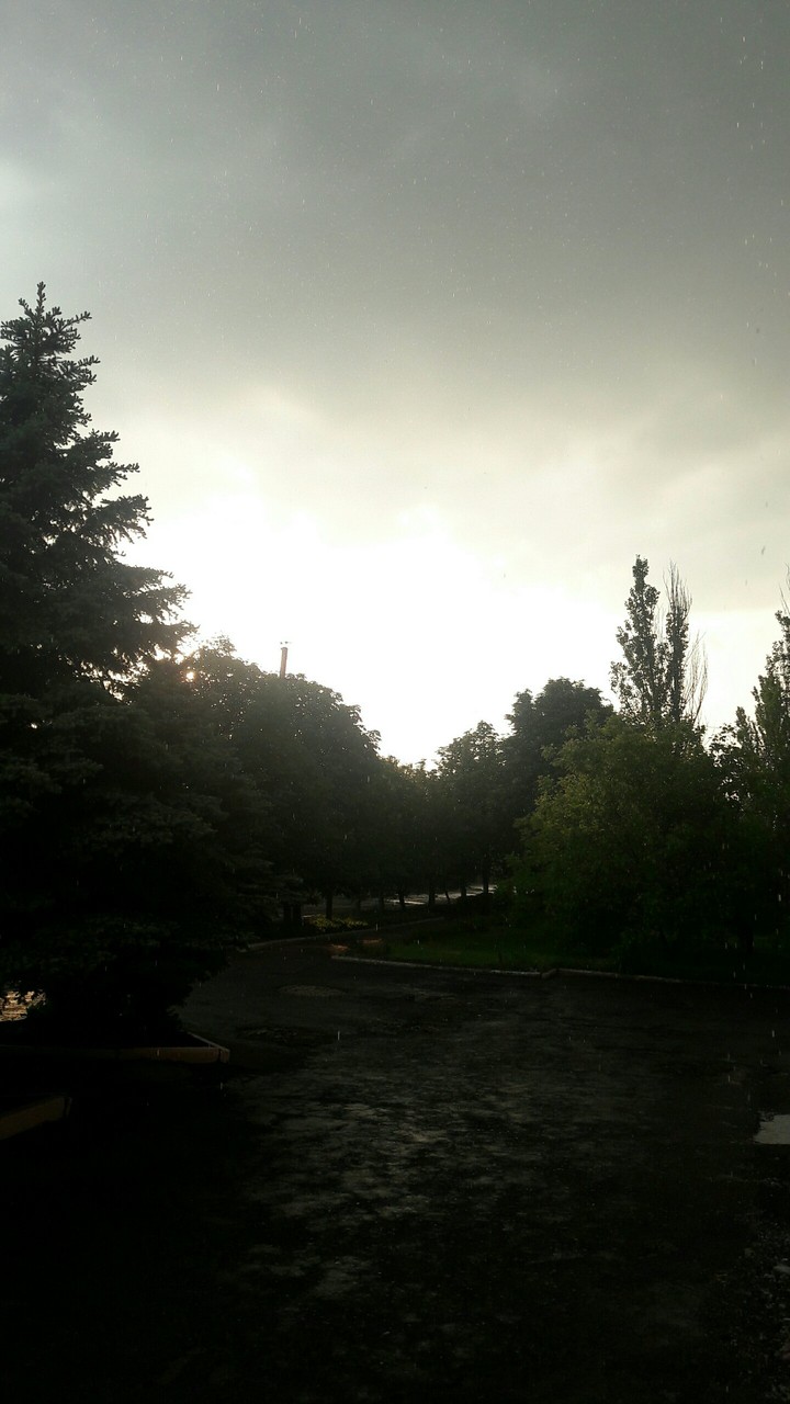 Rain