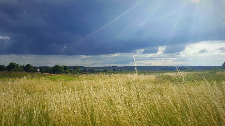 fields