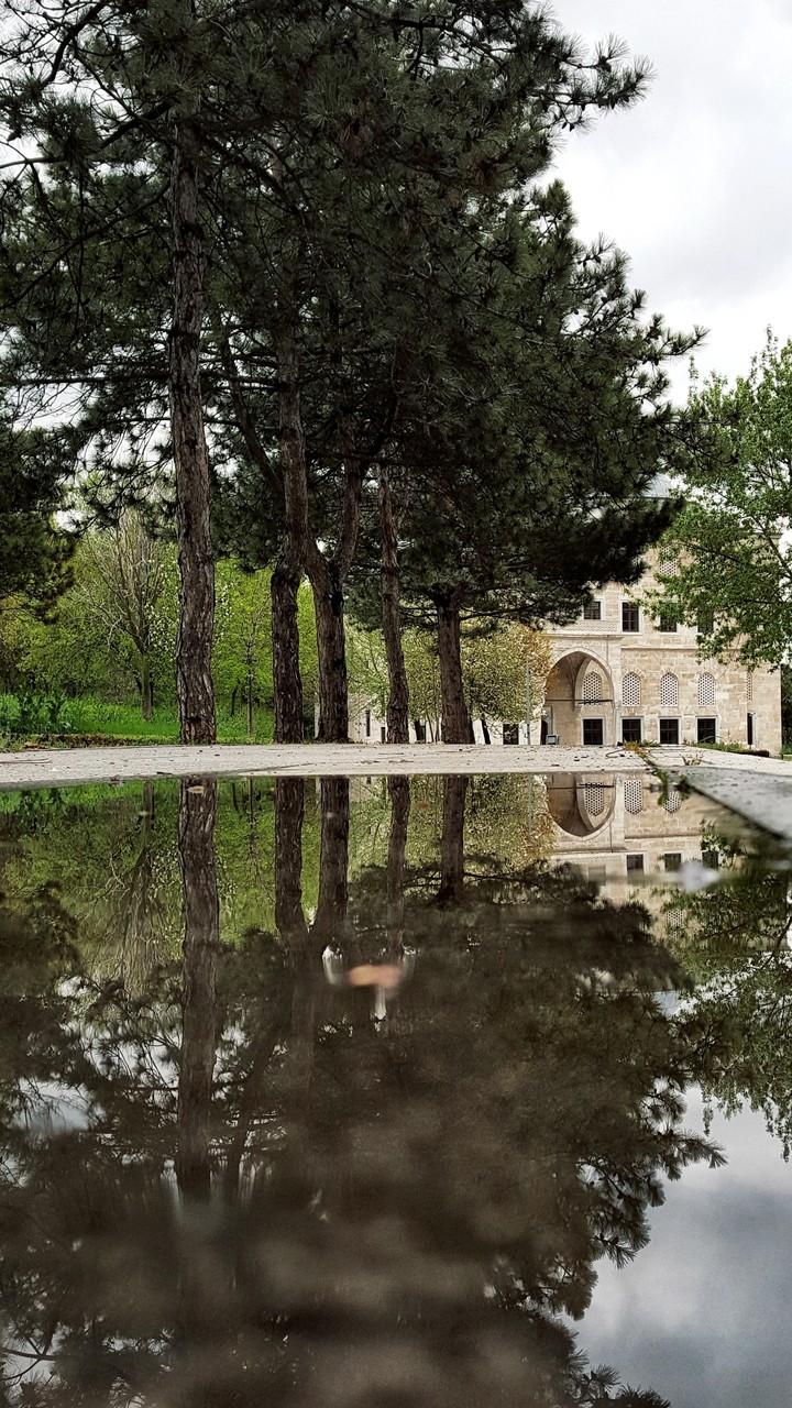 A rainy days mean perfect reflections