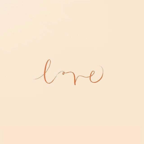 organ, line桌布