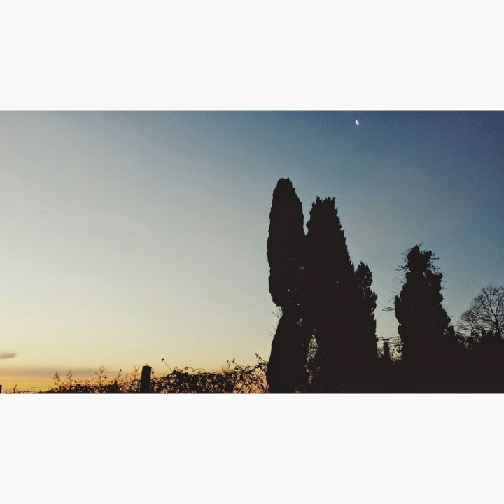 home