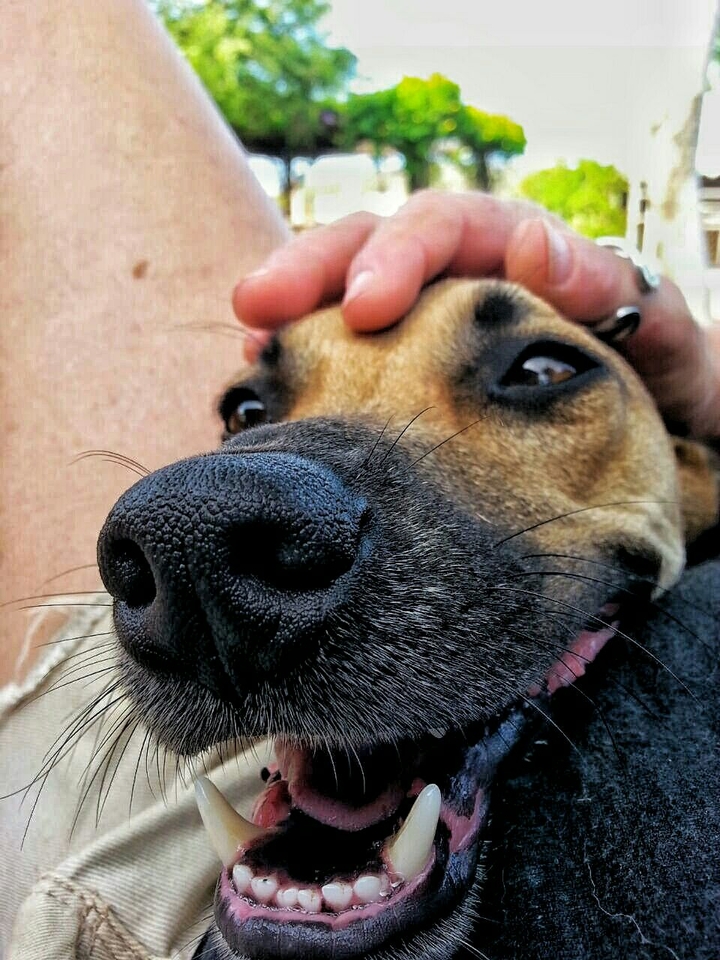 intense happiness