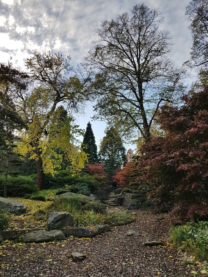 Park