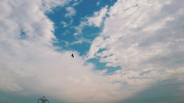 My click