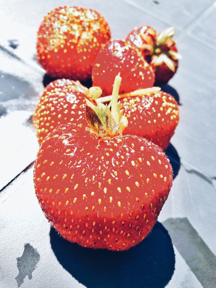 strawberries