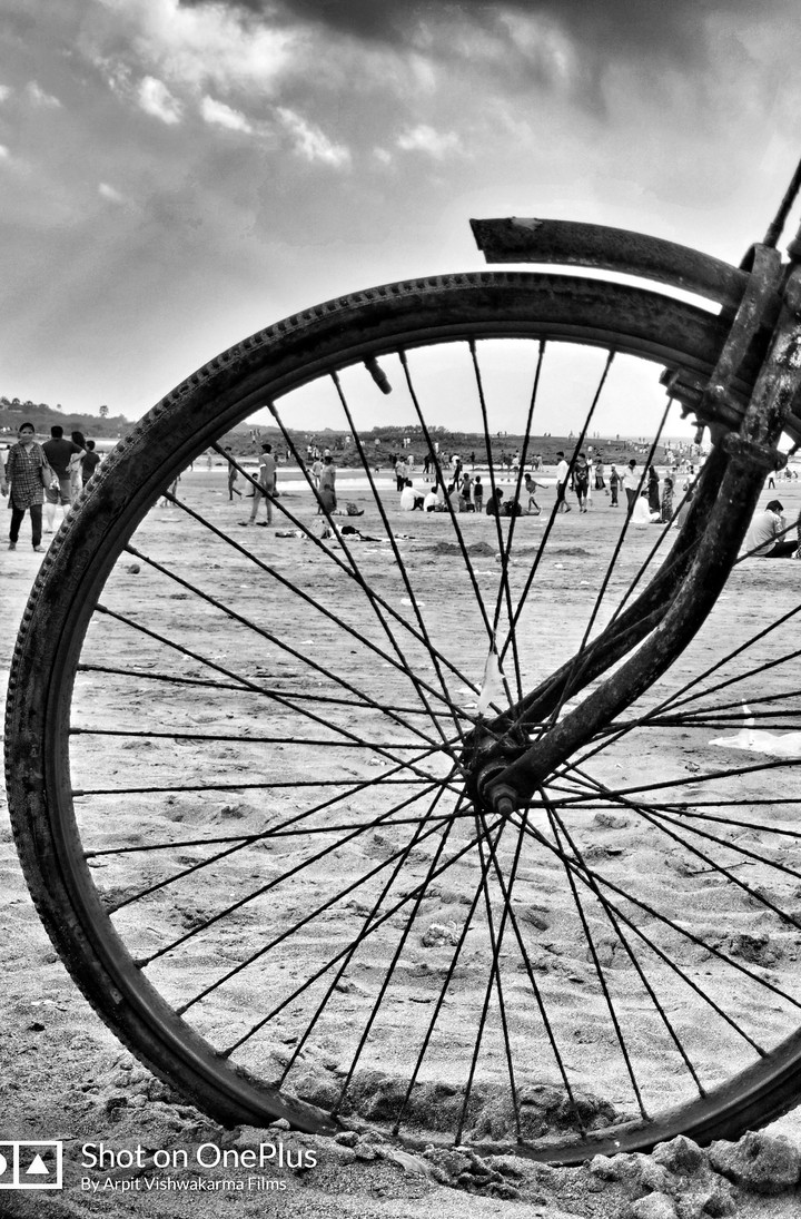 Life Cycle | Tyre | Beach | Life