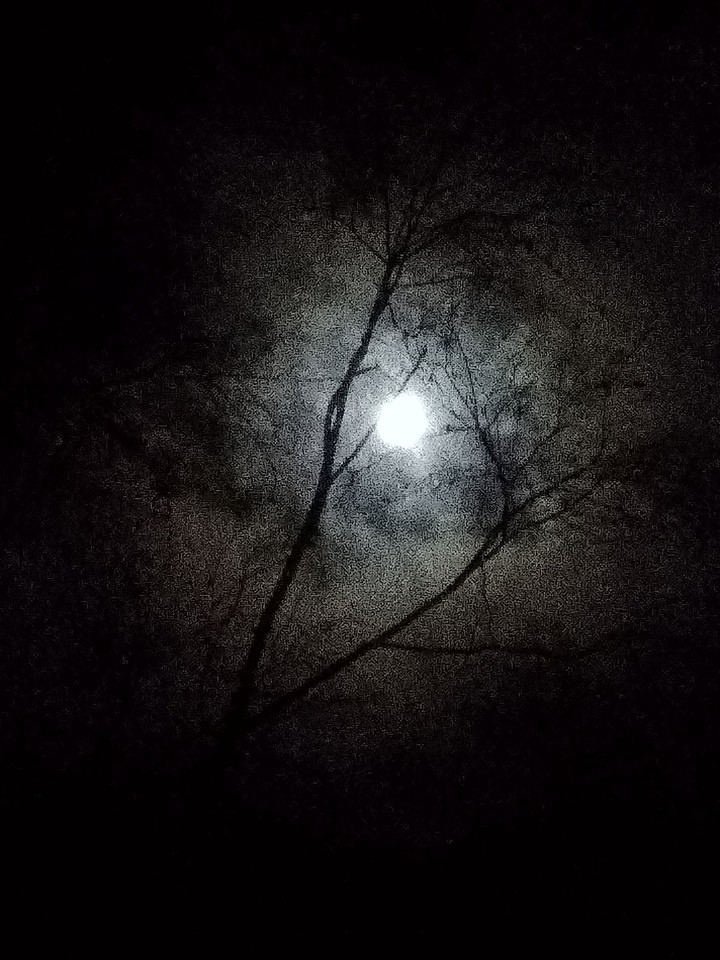 night moon