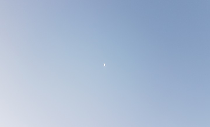 64