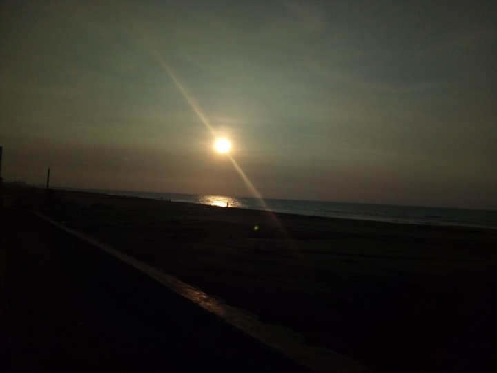 atardecer, flor, sol