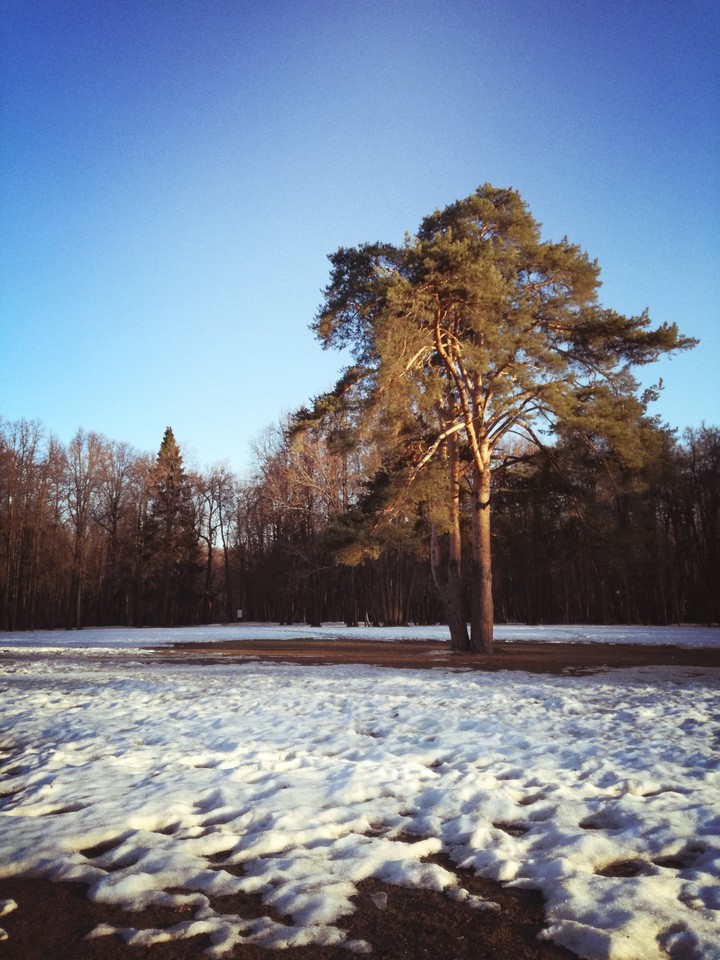 Spring