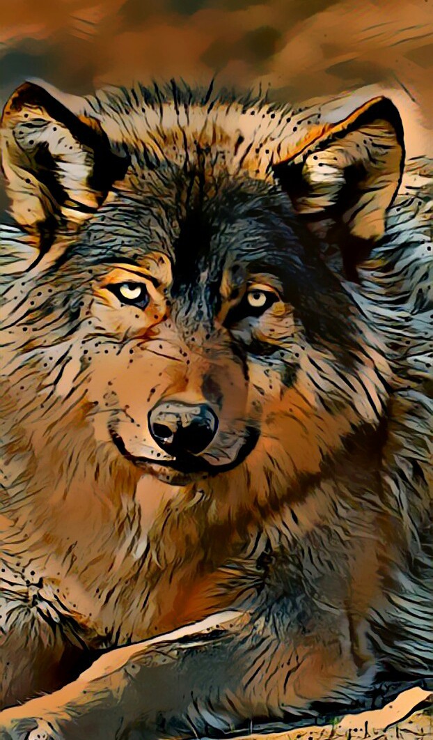 Wolfie