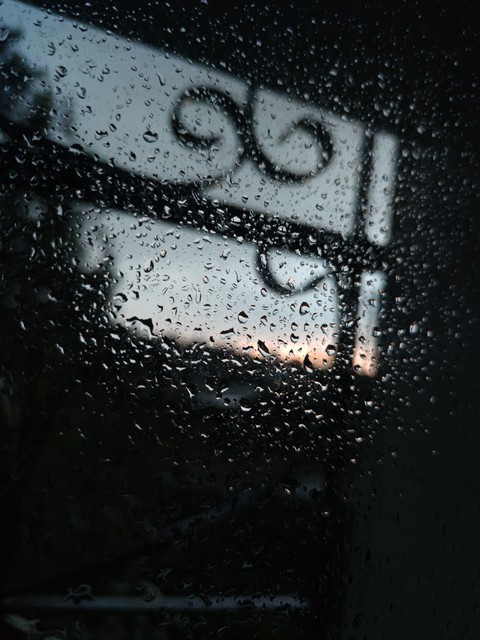 summer rain