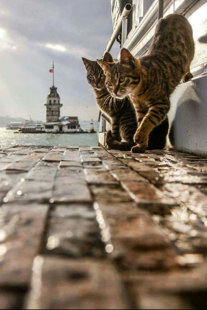 kız kulesi
