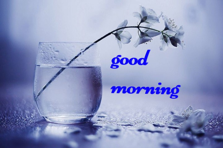 Good Morning