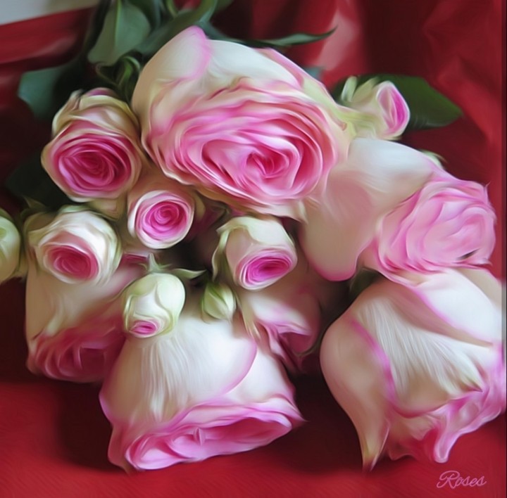 Roses