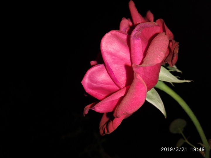 click by me
