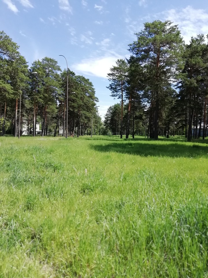 Старый парк.