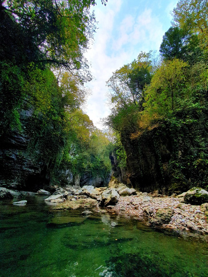 nature