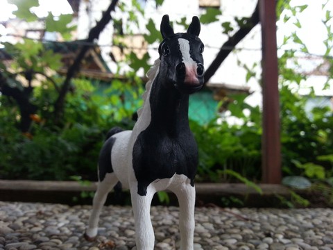 pintabian 2