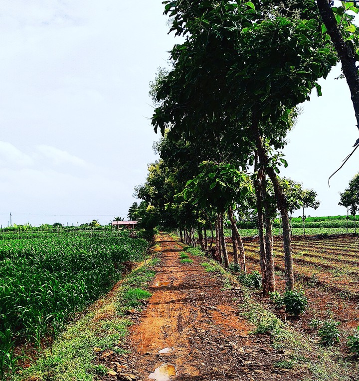 Solapur