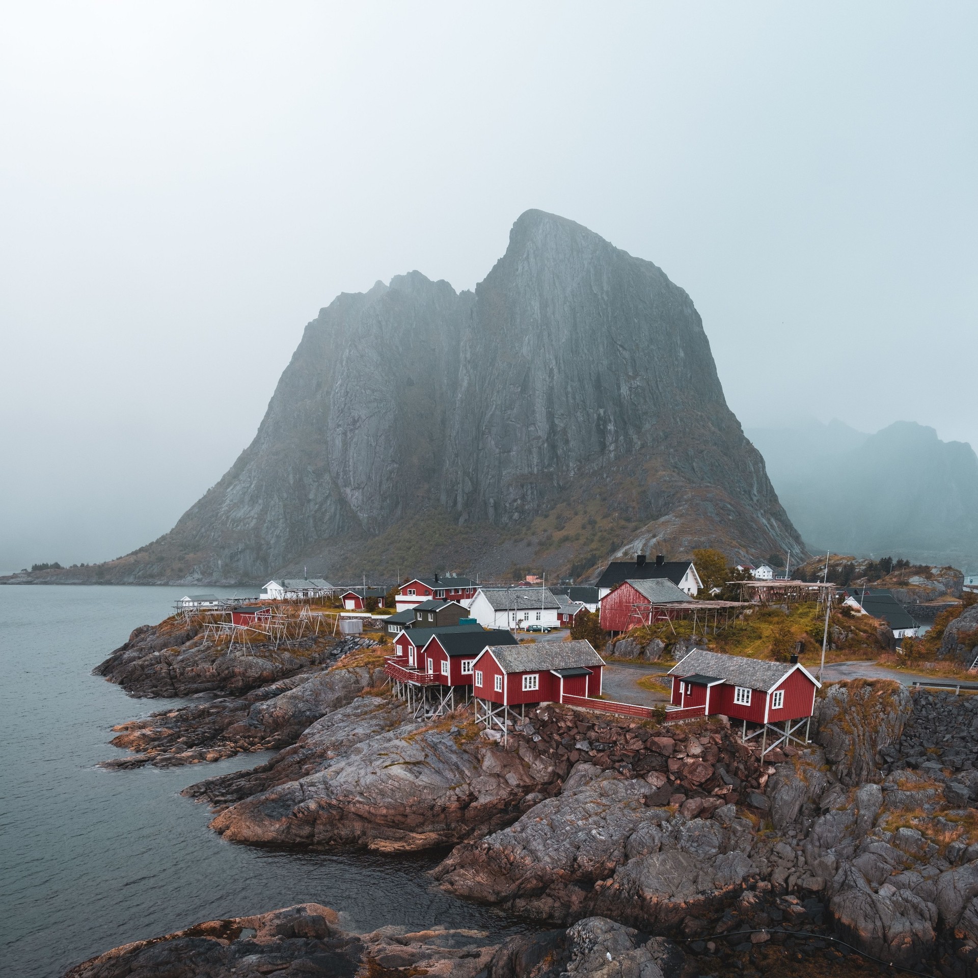 hill, highland duvar kağıtları