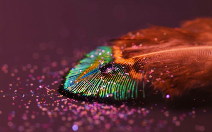 Glittery Feather