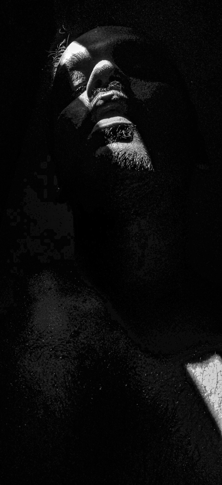 Self Portrait