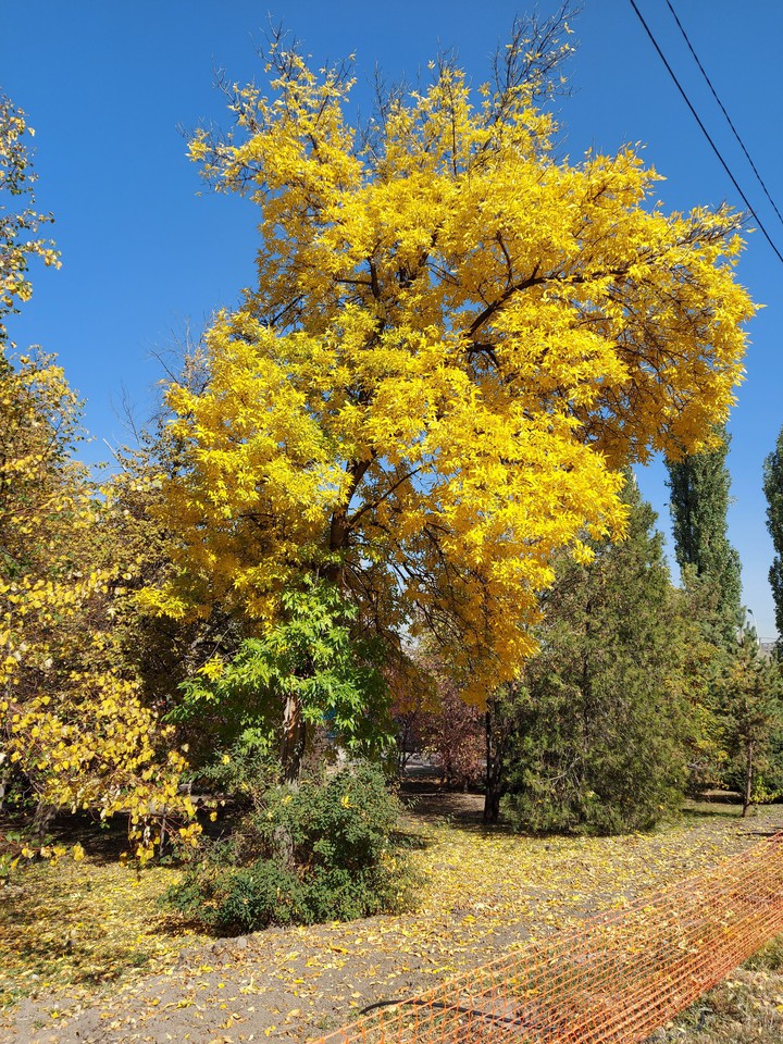 October