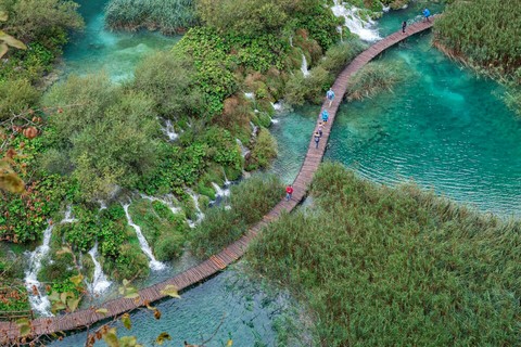 Road through the waters