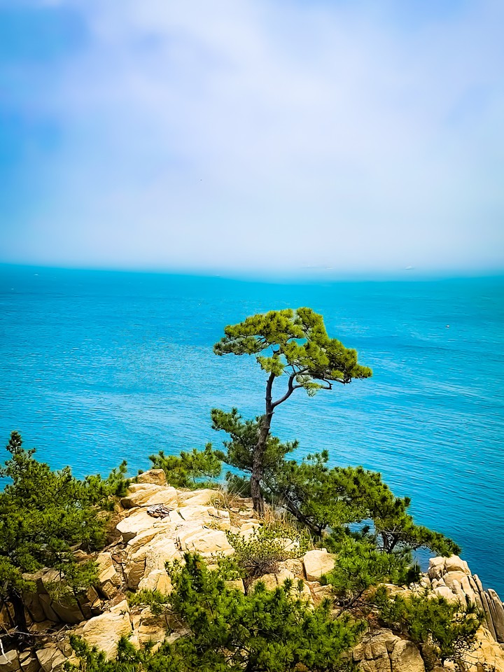 대왕암공원