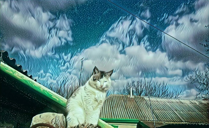mooncat