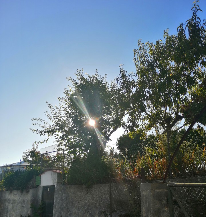 tarde de sol