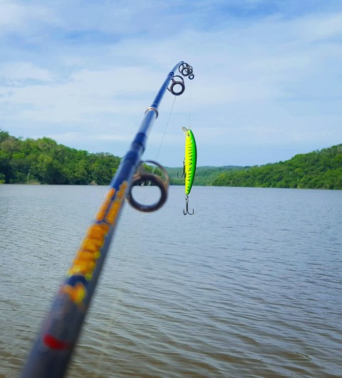 pesca
