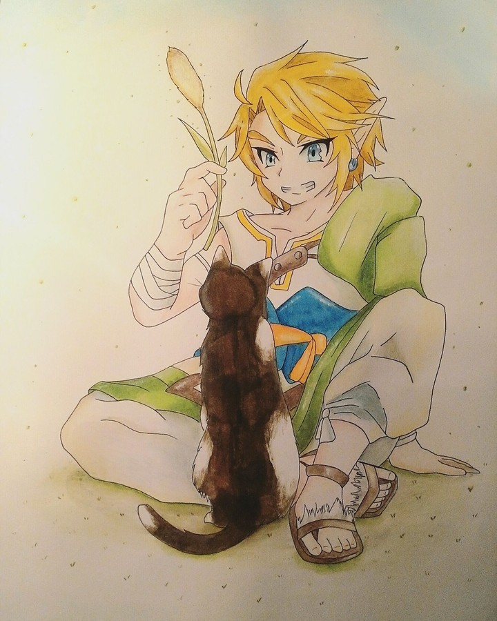 Link and his cat