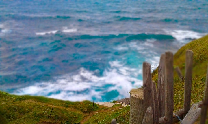 Sea