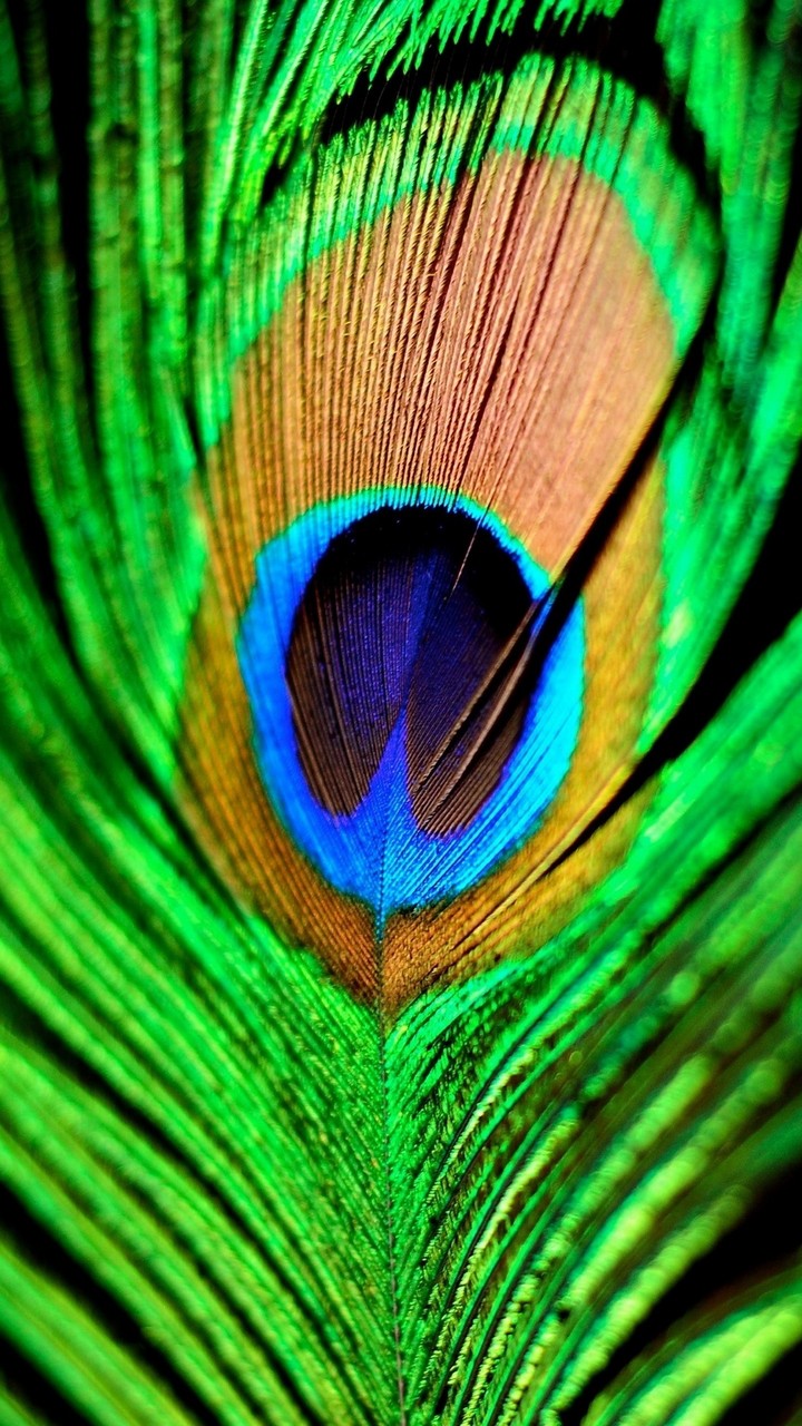 good photo