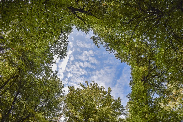 Sky and nature