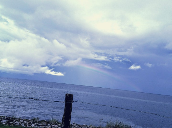 Regenbogen