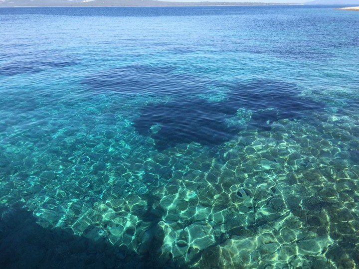 Meer