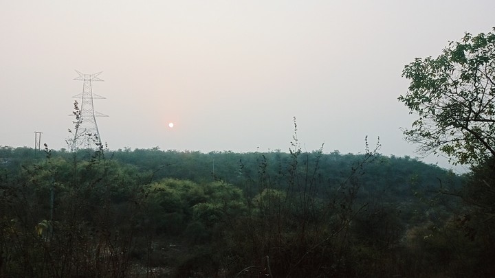 Nature's Beauty