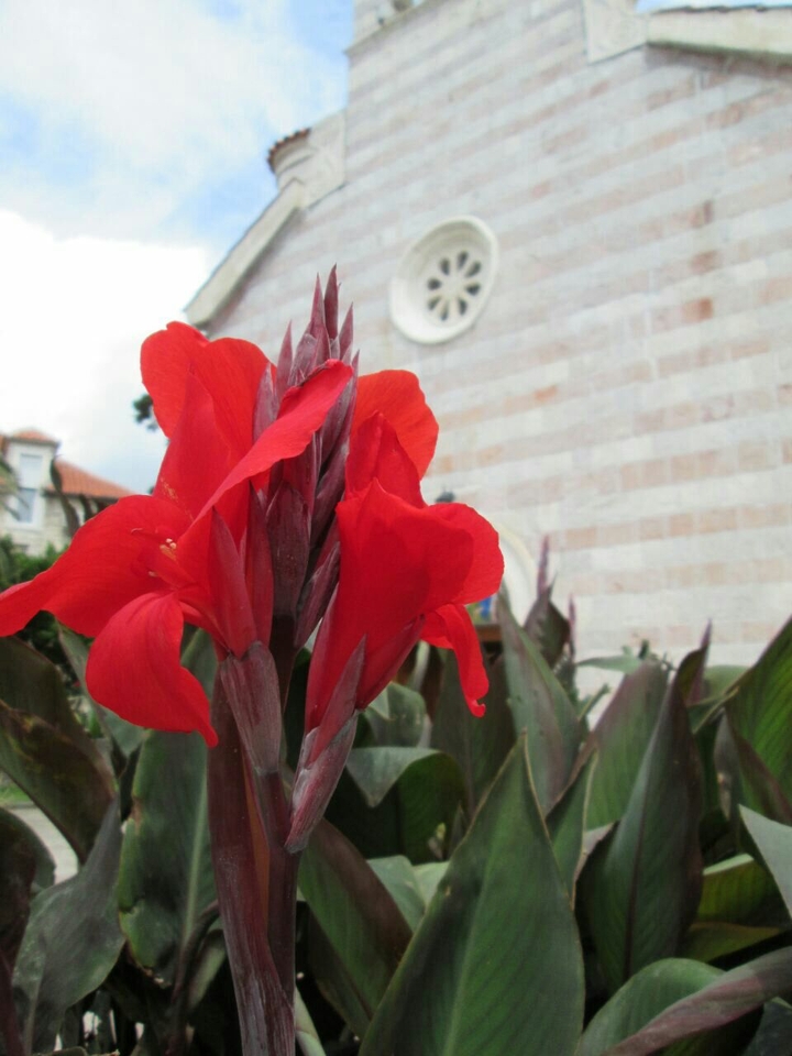 Old town of Budva