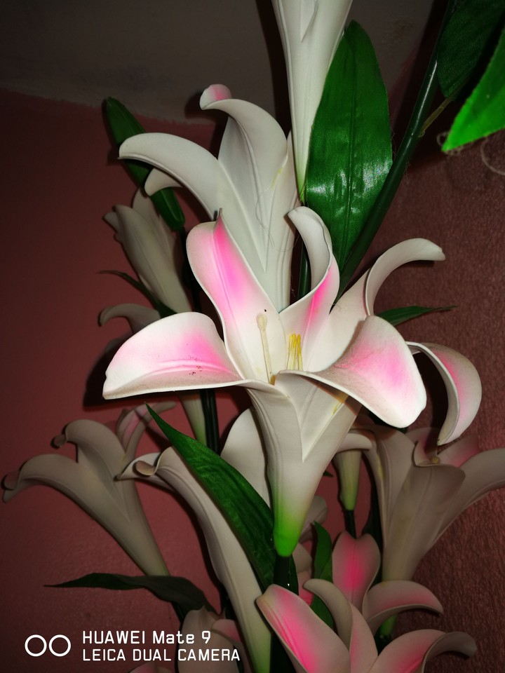mate9