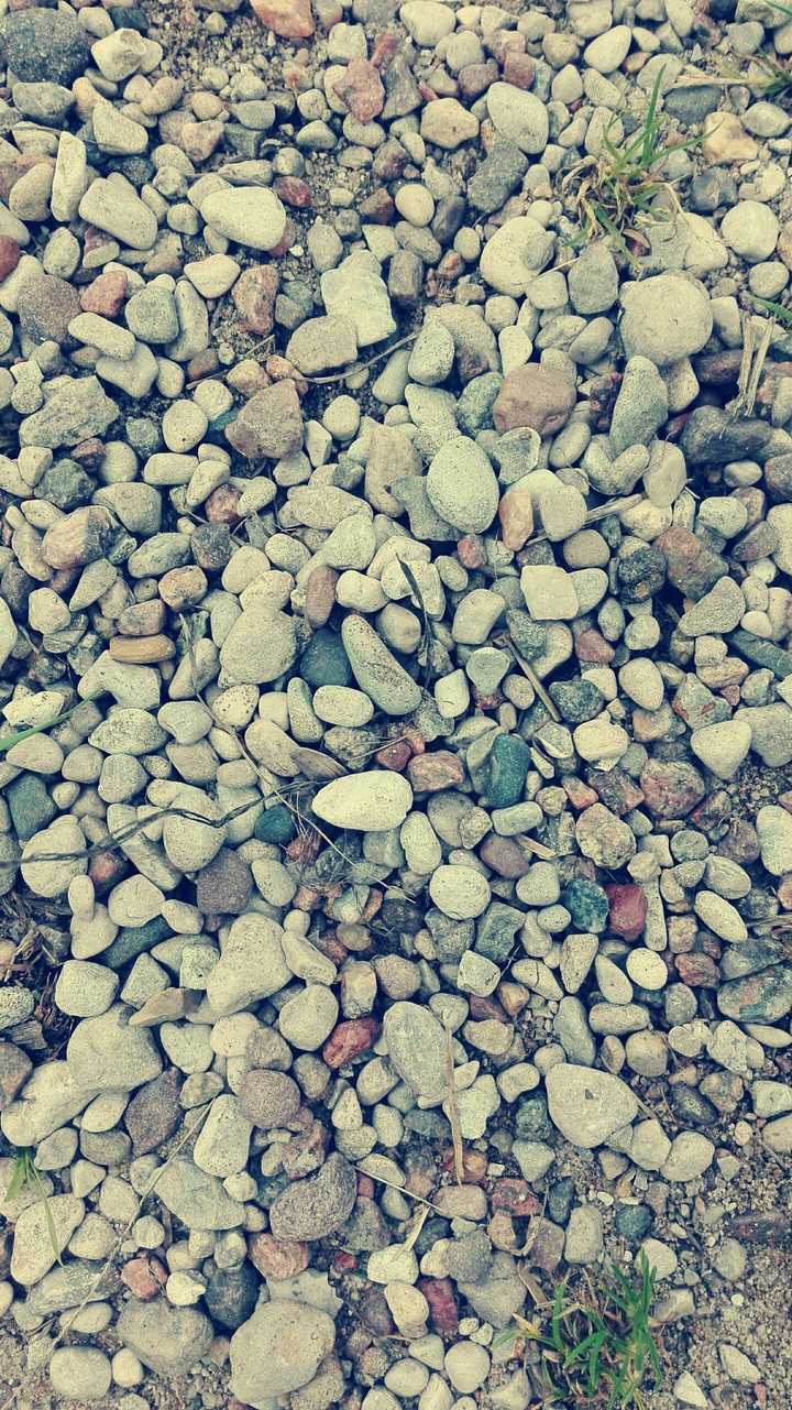 rocks