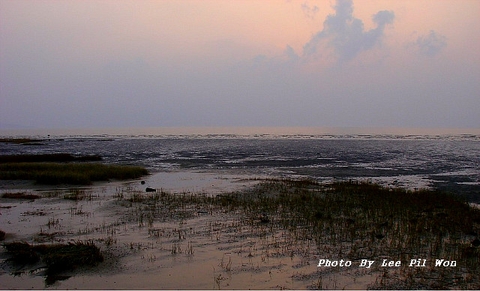 marsh, wetland duvar kağıtları