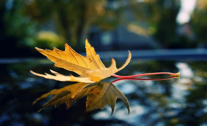 HD wallpaper