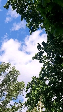 windy day