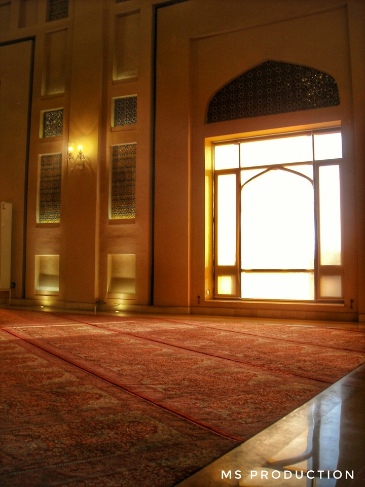 A beautiful sunlight view !