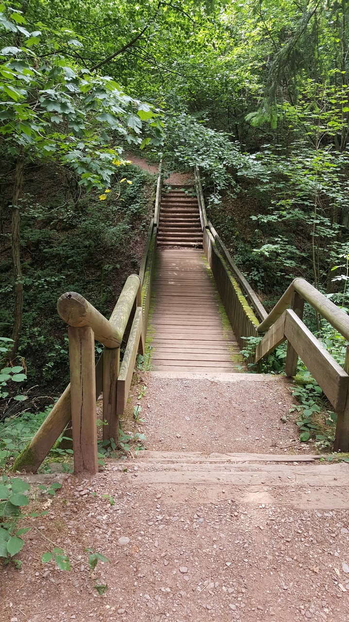Saarschleife Wanderweg