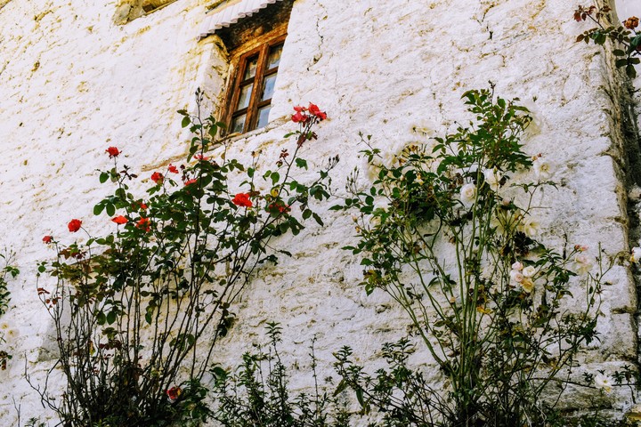 walls