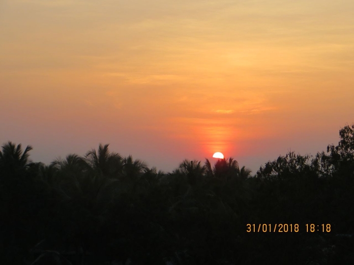 sunset